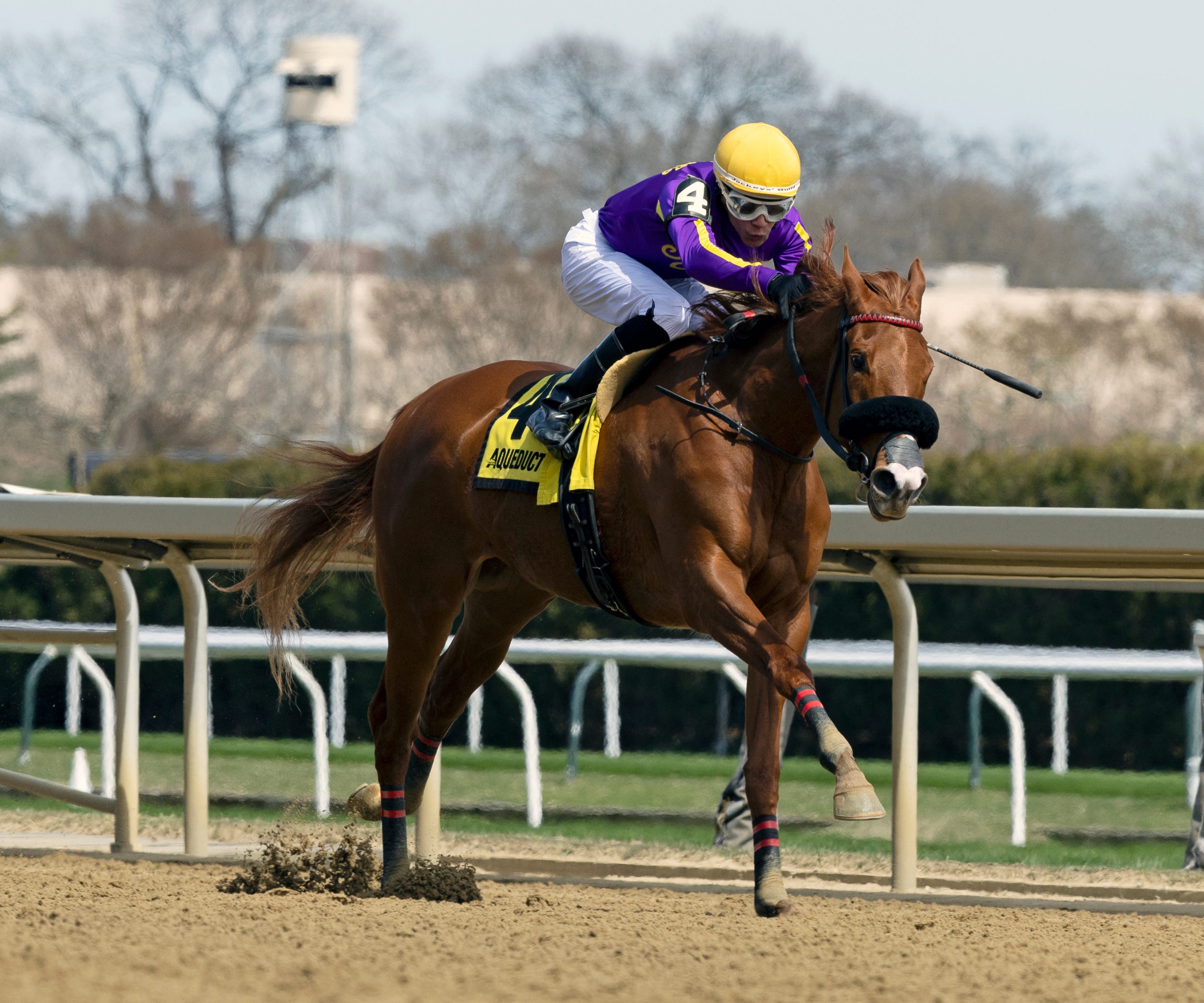 Promiseher America will prep for Kentucky Oaks in N.Y.